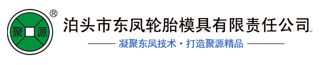 泊頭東鳳輪胎模具硫化罐
